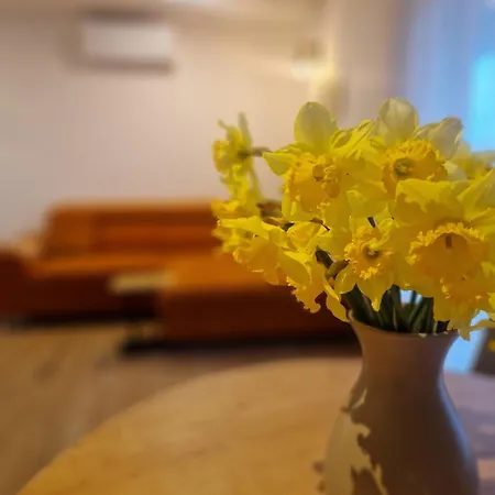 Divini Apartman